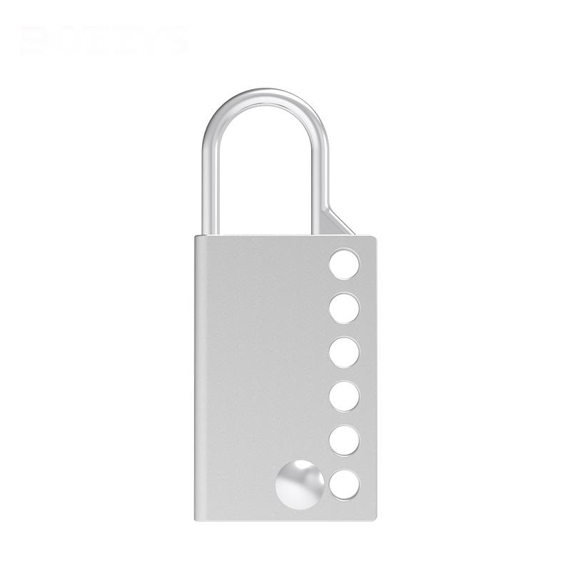 TIS SSH1 Stainless Steel Hasp